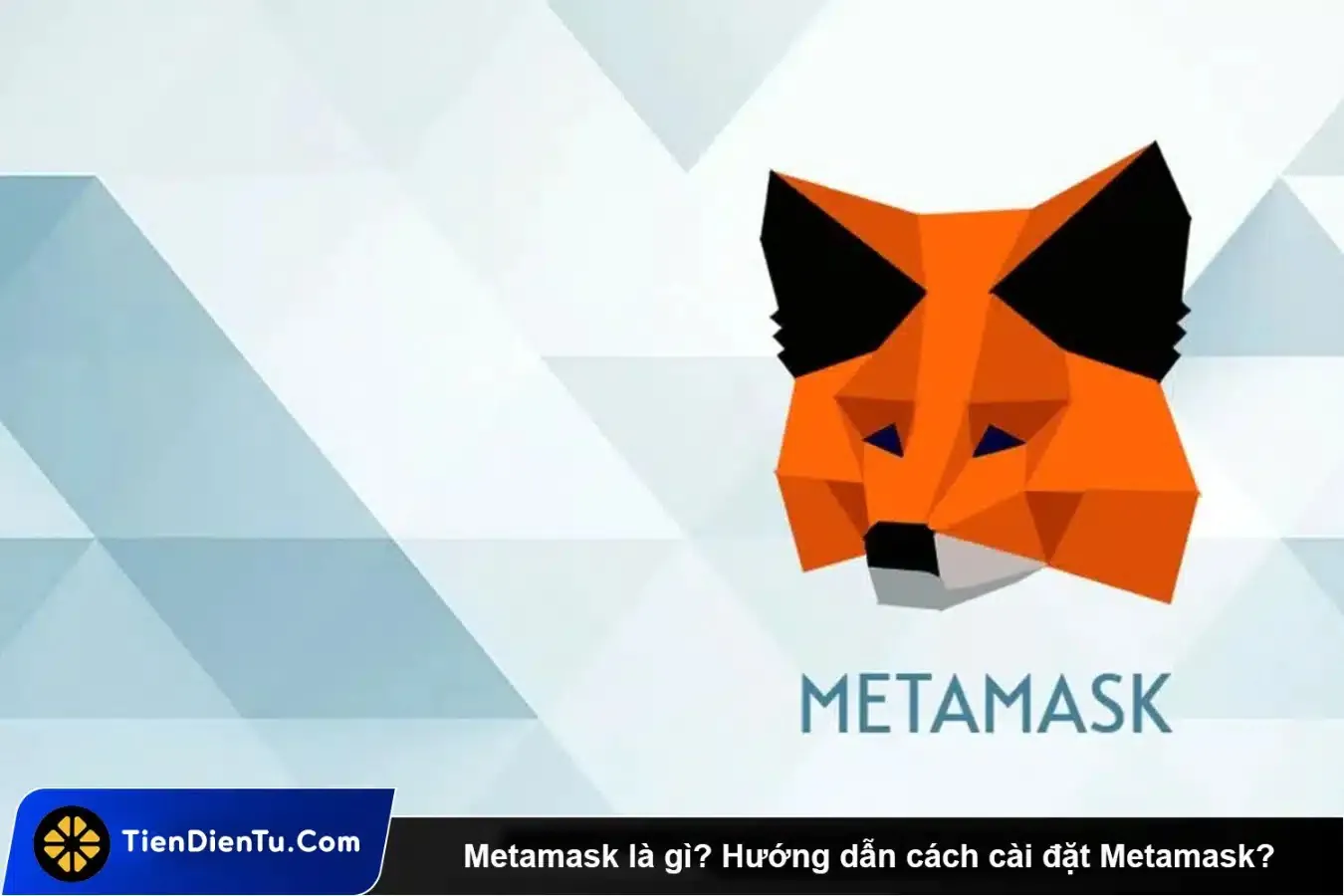 Ví Metamask là gì? Hướng dẫn cài đặt ví Metamask cho người mới