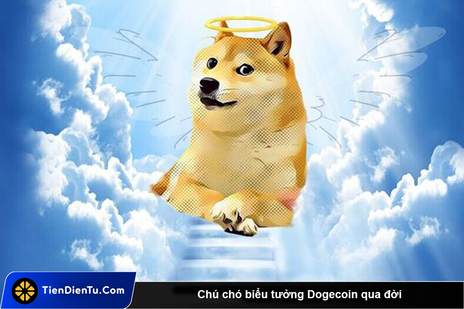 Chu cho bieu tuong Dogecoin qua doi tdt