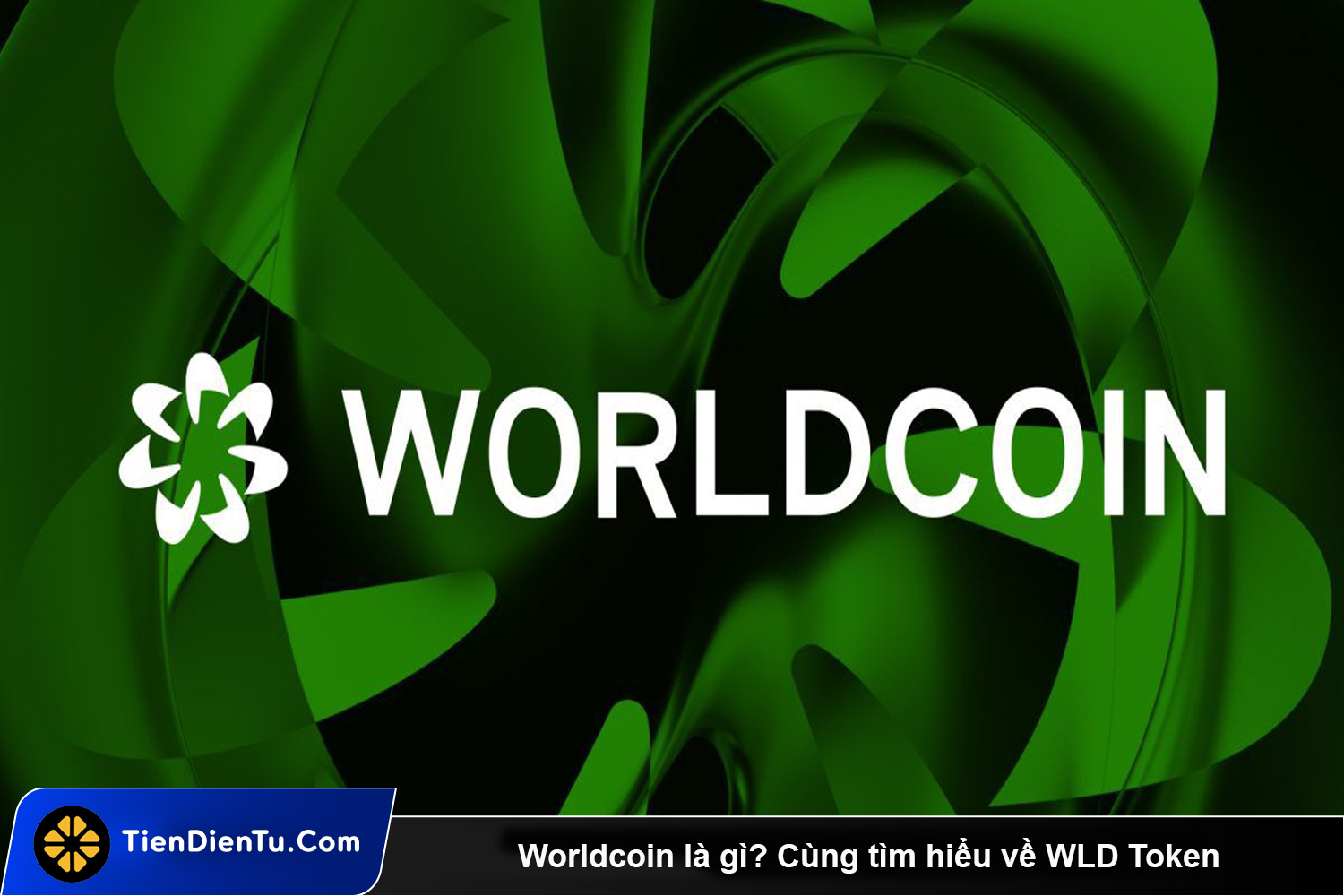 Worldcoin la gi tiendientu