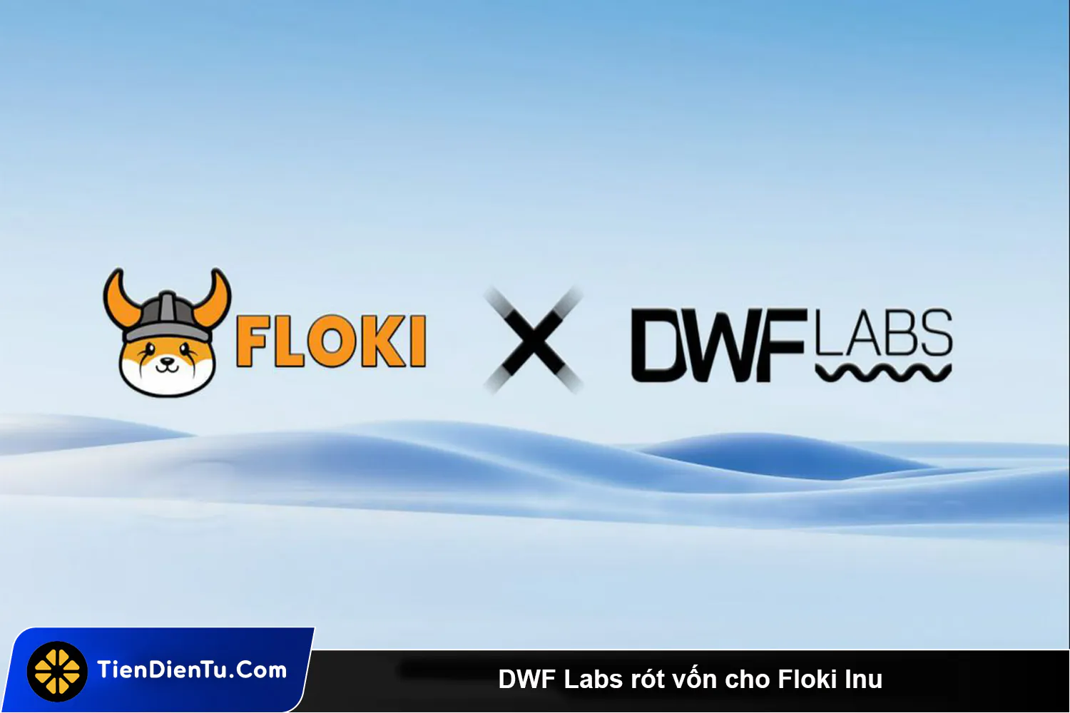 DWF Labs tiep tuc rot von cho memecoin lan nay la Floki Inu