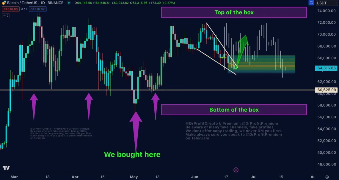 Doctor Profit Bitcoin Chart