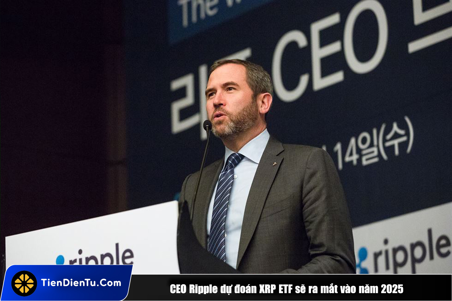 Tiendientu CEO Ripple ETF ra mat