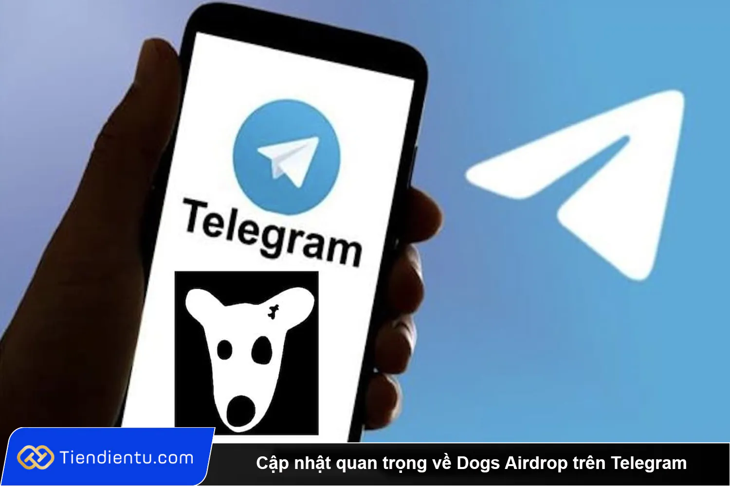 Cap nhat quan trong ve Dogs Airdrop tren Telegram