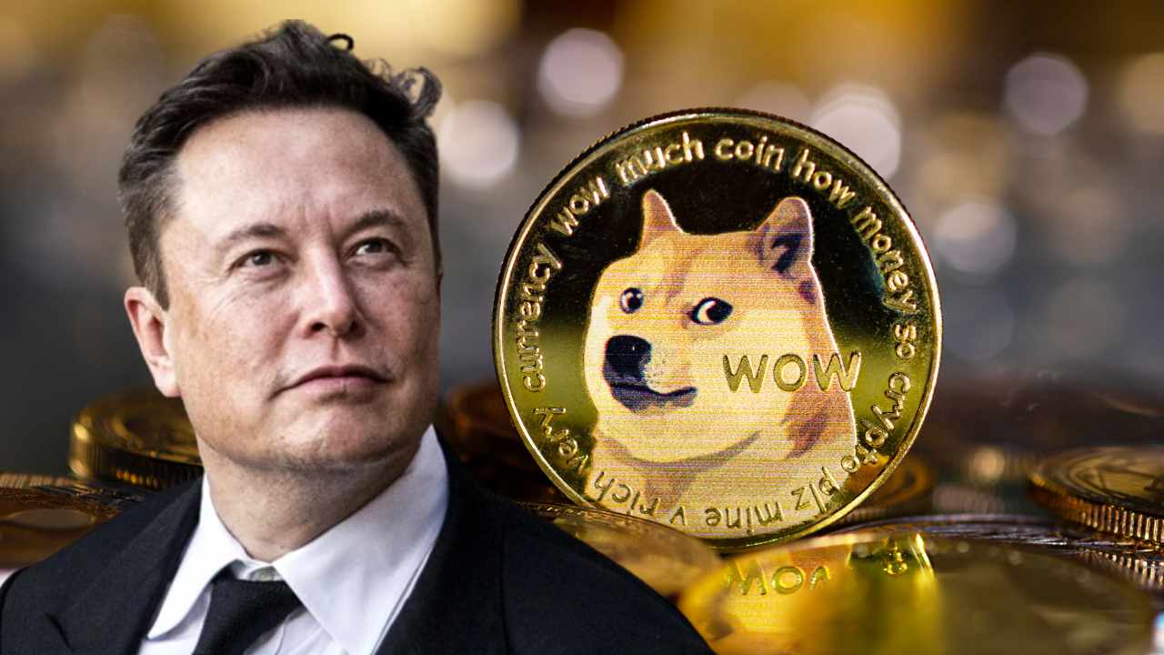 Elon Musk Dogecoin