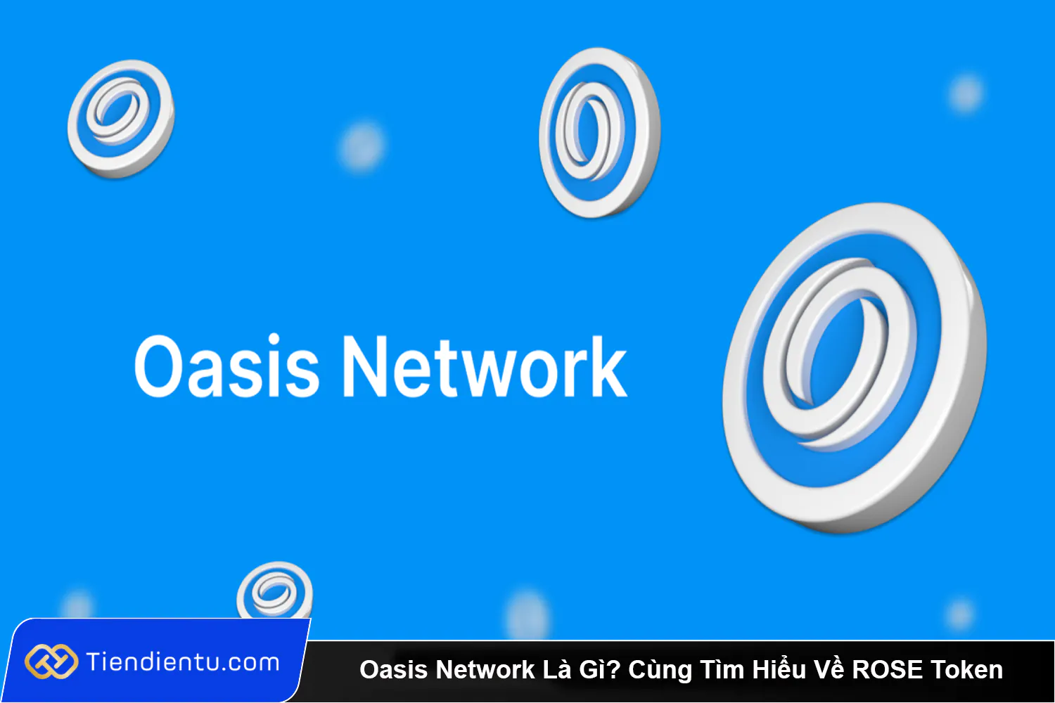 Oasis Network La Gi Cung Tim Hieu Ve ROSE Token