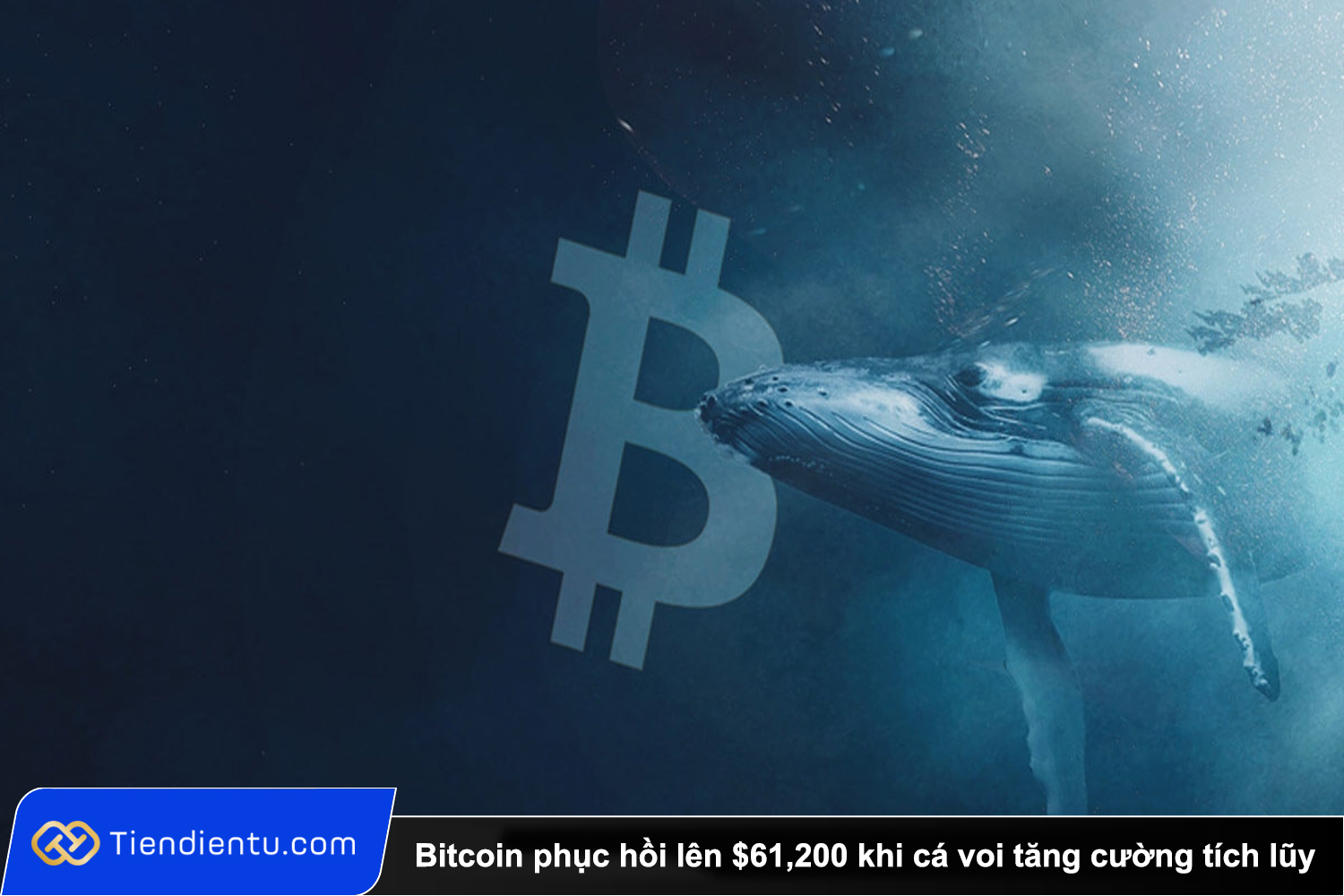 Tiendientu bitcoin phuc hoi khi ca voi tich luy