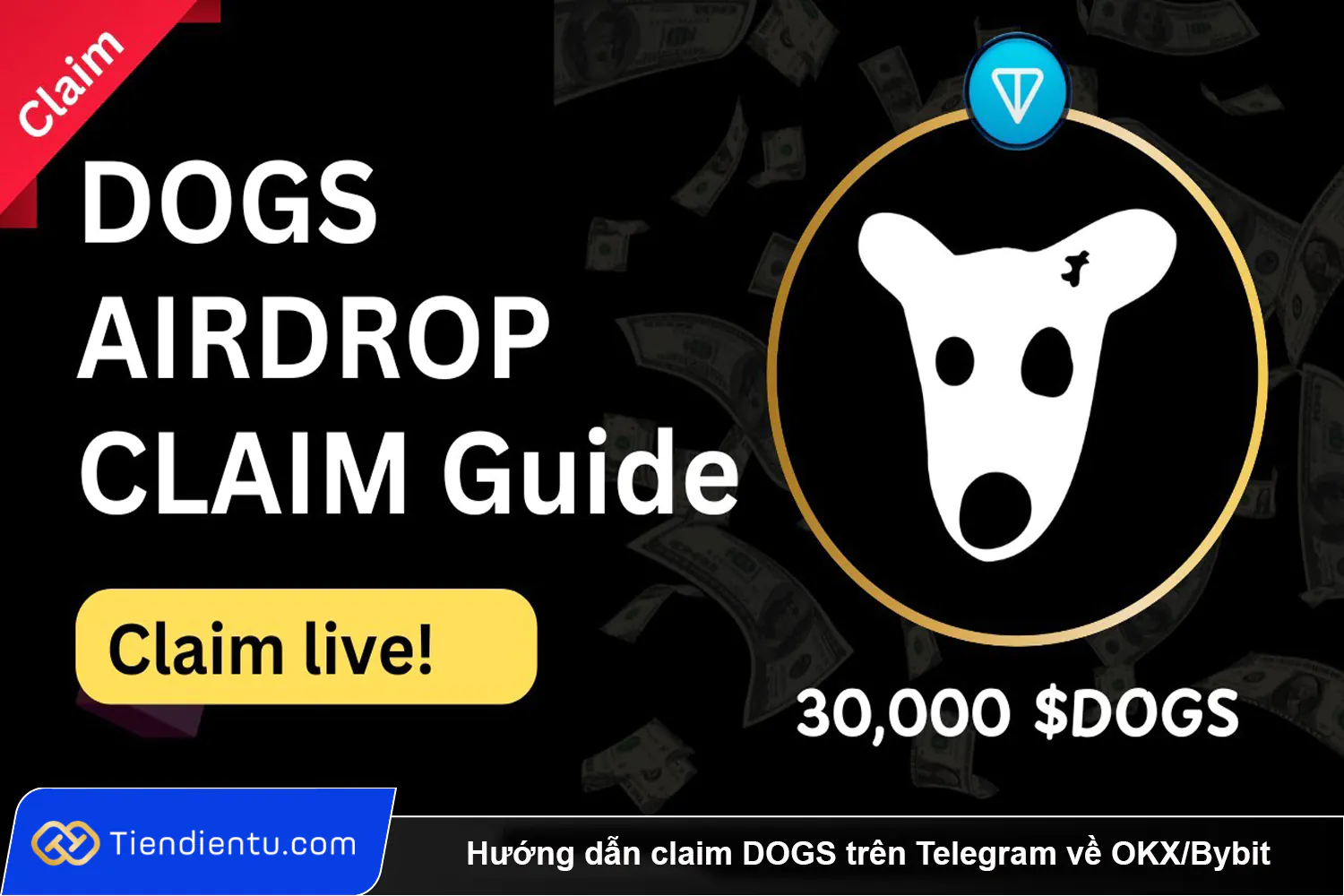 Huong dan claim DOGS tren Telegram ve OKXBybit