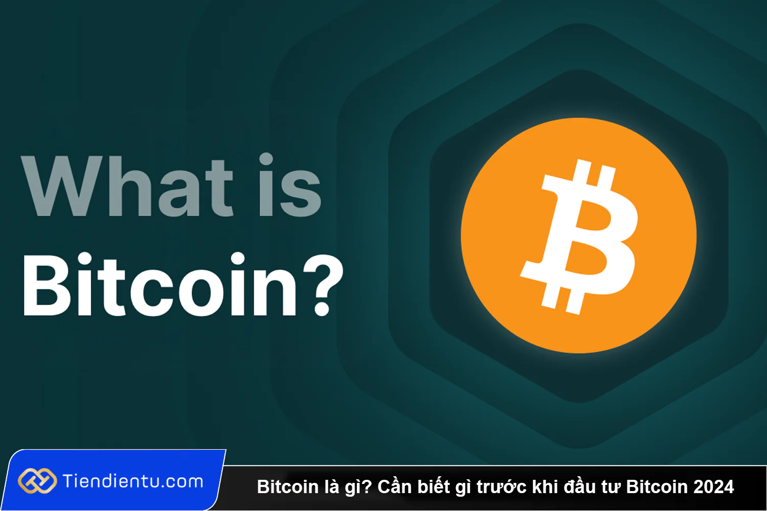 Bitcoin la gi Can biet gi truoc khi dau tu Bitcoin 2024