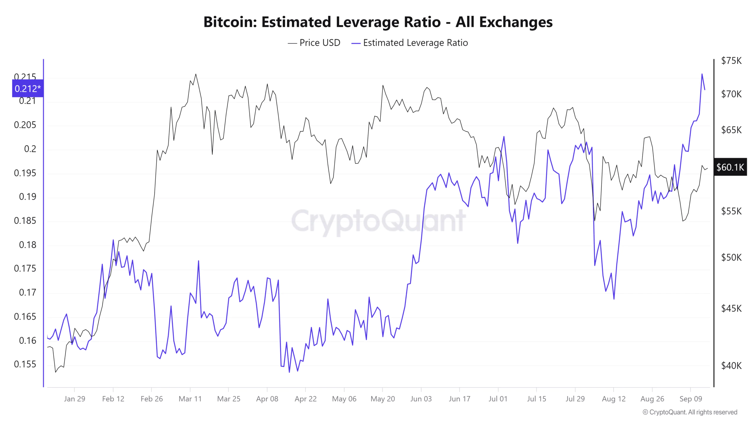 Bitcoins Estimated Leverage Ratio