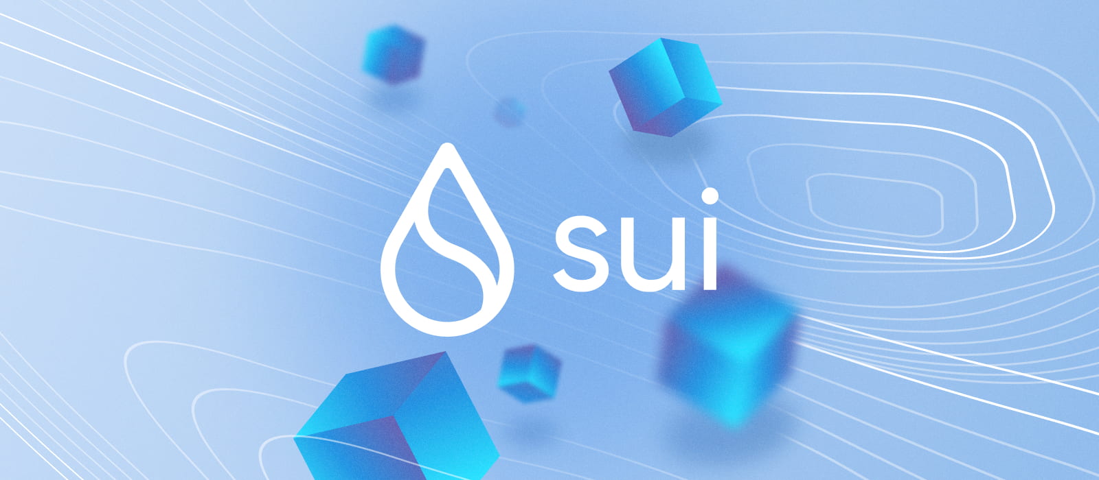 Sui là một blockchain Layer-1 đã gặt hái được nhiều thành công