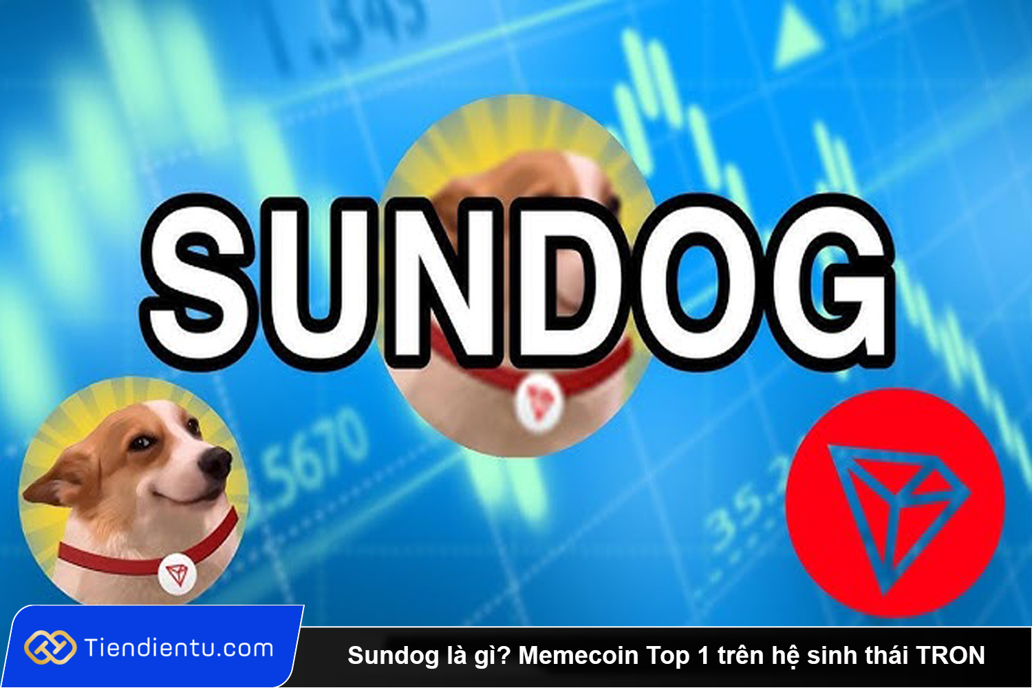 Sundog la gi Memecoin Top 1 tren he sinh thai TRON