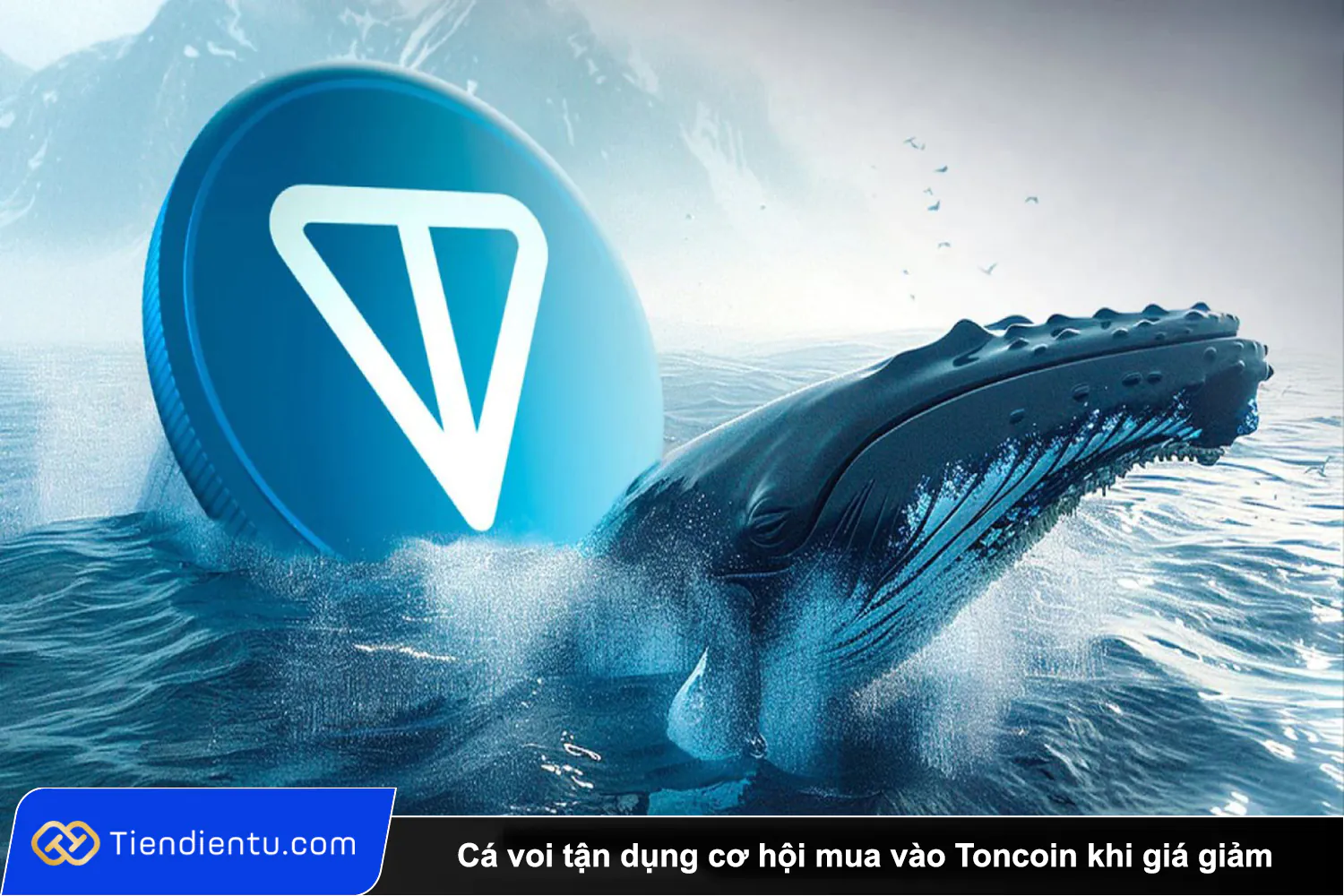 Tiendientu ca voi mua toncoin