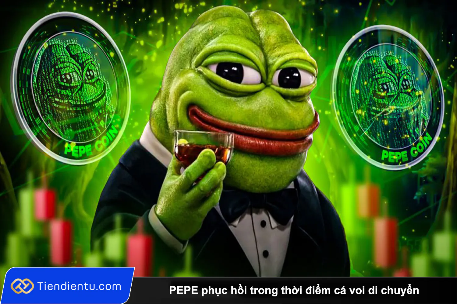 Tiendientu pepe phuc hoi ca voi di chuyen