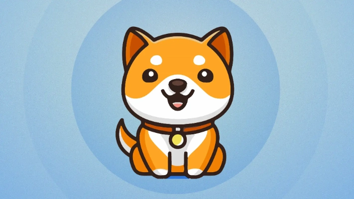 What is Baby Doge Coin?