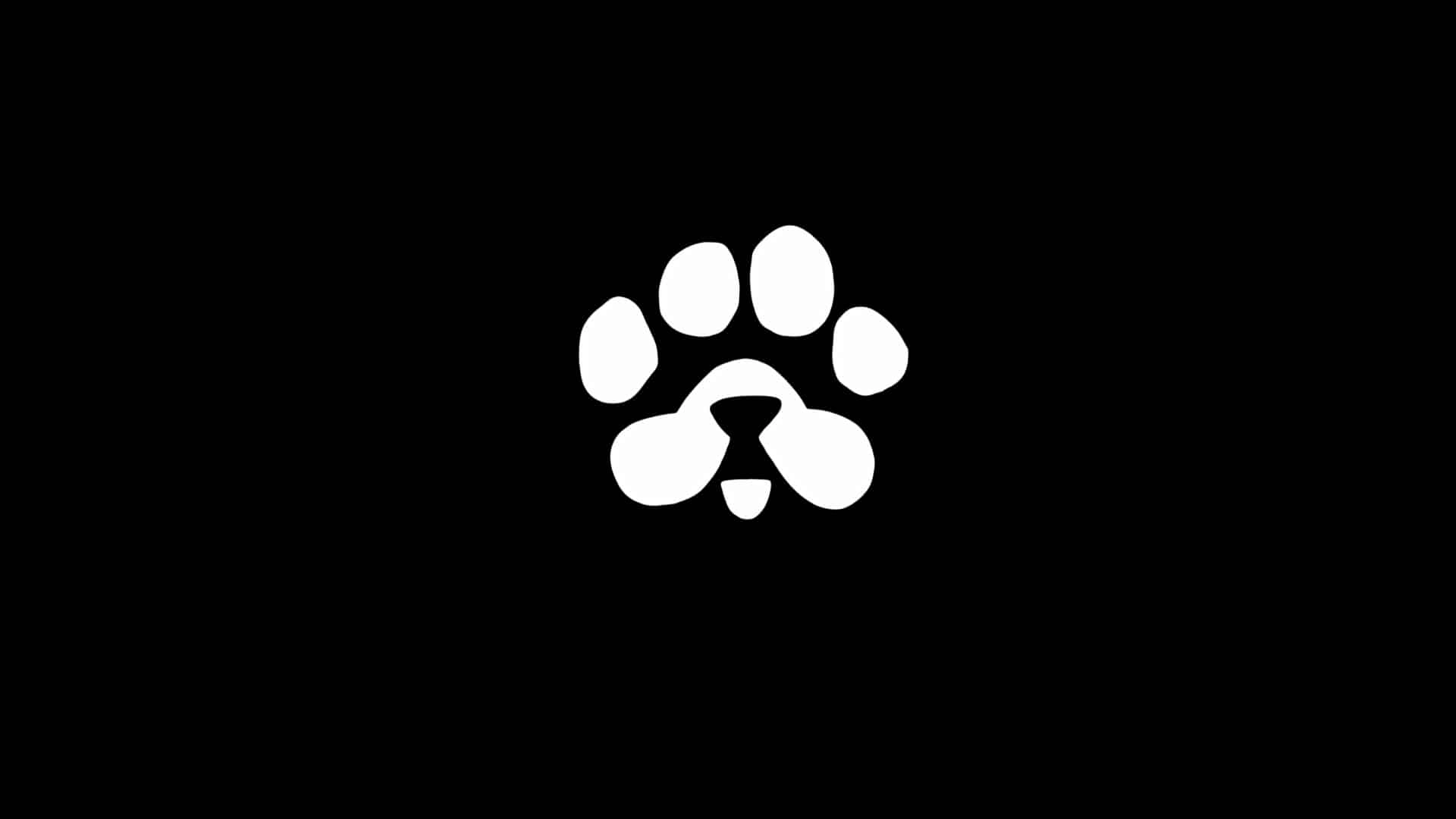 PAWS Airdrop