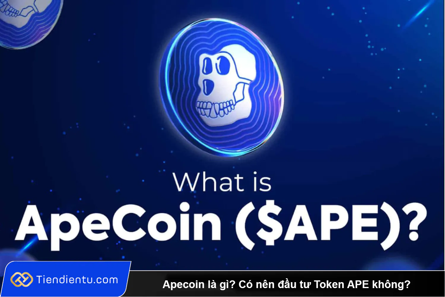 Apecoin la gi Co nen dau tu Token APE khong