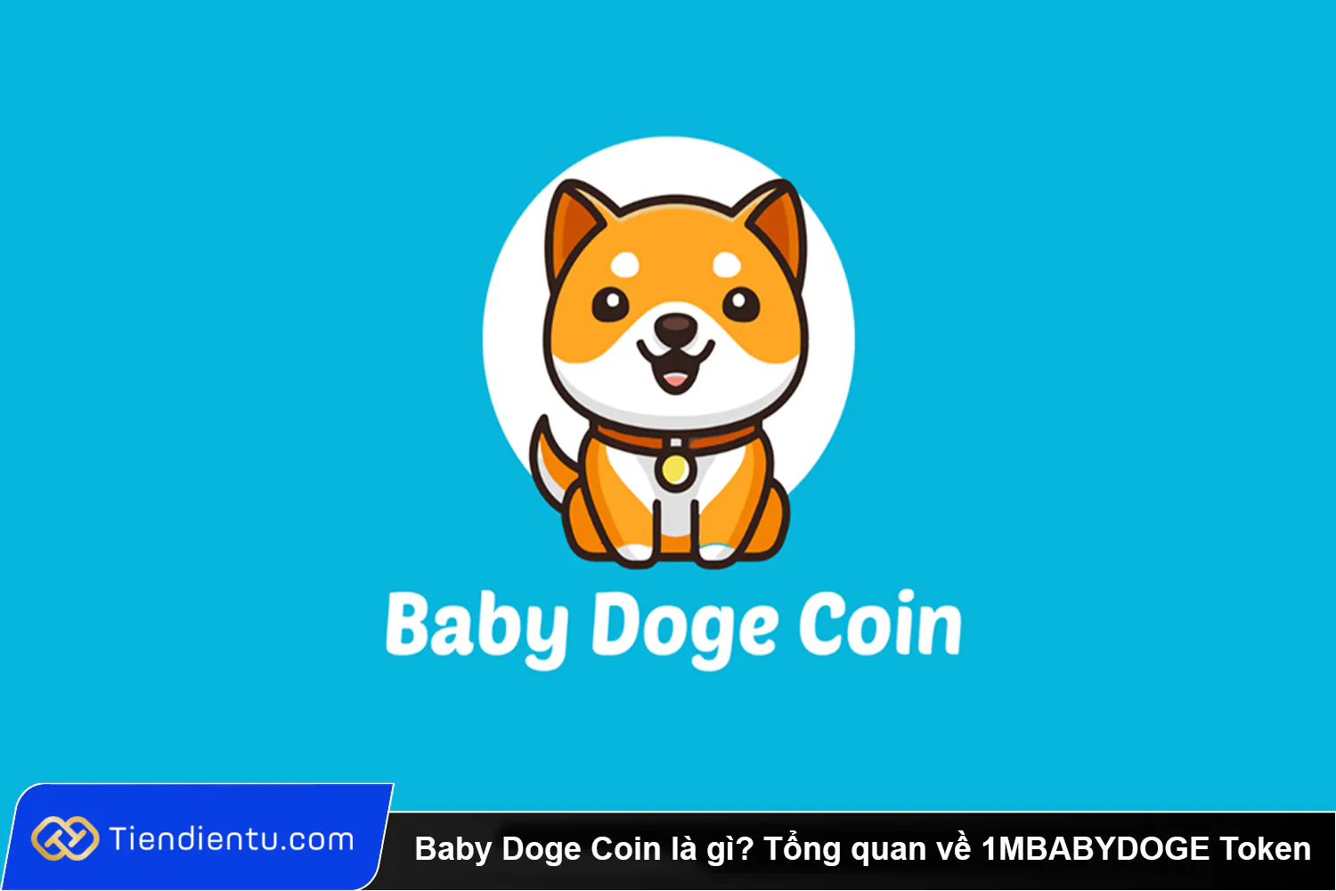 Baby Doge Coin là gì? Tổng quan về 1MBABYDOGE Token