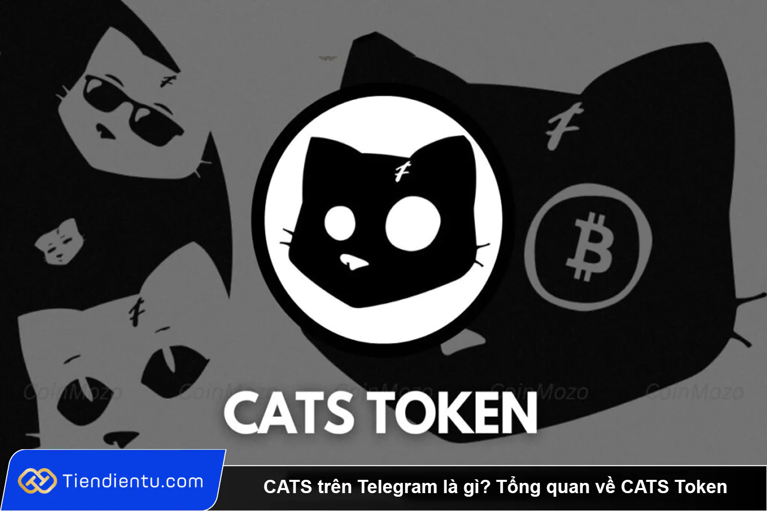 CATS tren Telegram la gi Tong quan ve CATS Token