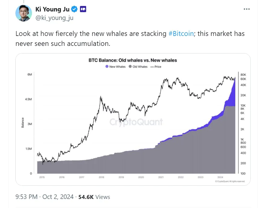 Cá voi mới đang tích trữ Bitcoin