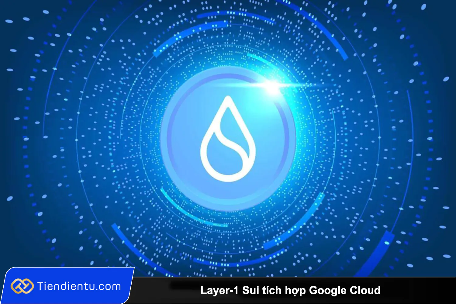 Layer 1 Sui tich hop Google Cloud nham chong gian lan va ho tro game