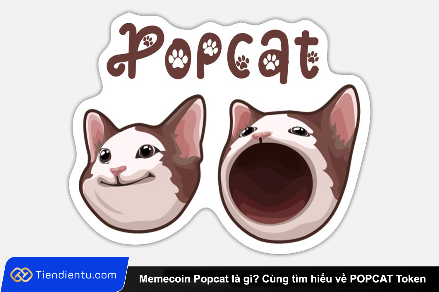 Memecoin Popcat la gi Cung tim hieu ve POPCAT Token