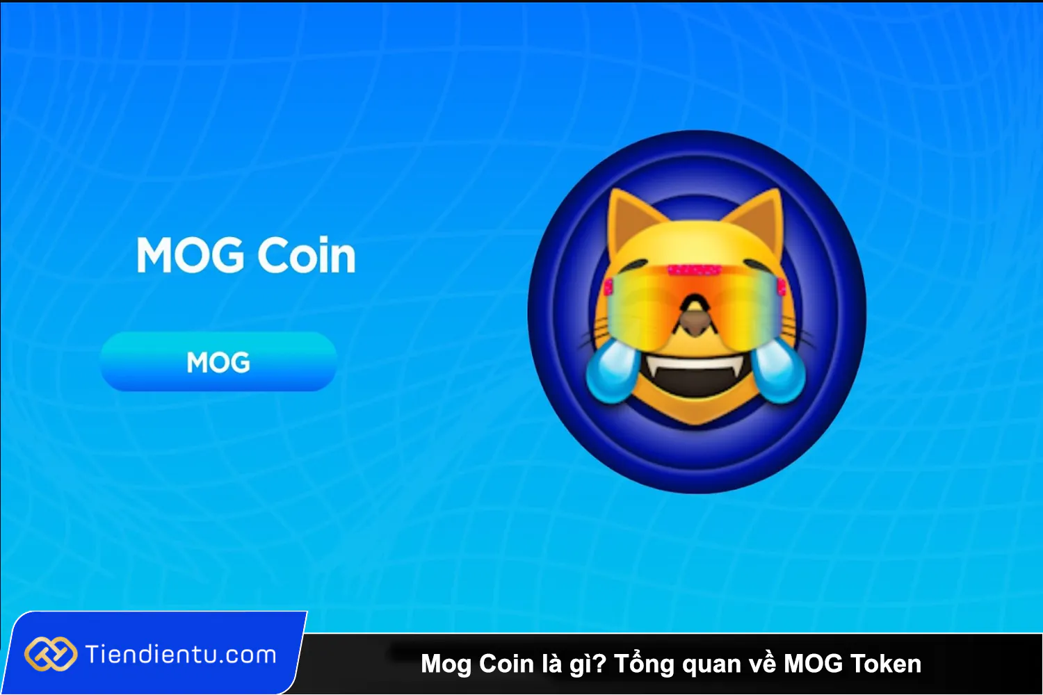 Mog Coin la gi Tong quan ve MOG Token