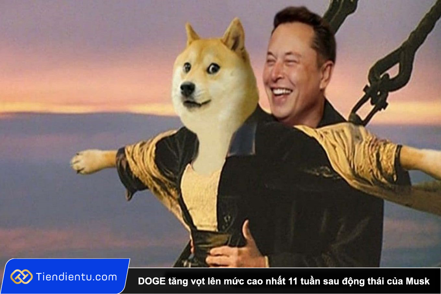 Tiendientu Recovered DOGE tang vot len muc cao nhat 11 tuan sau dong thai cua Musk