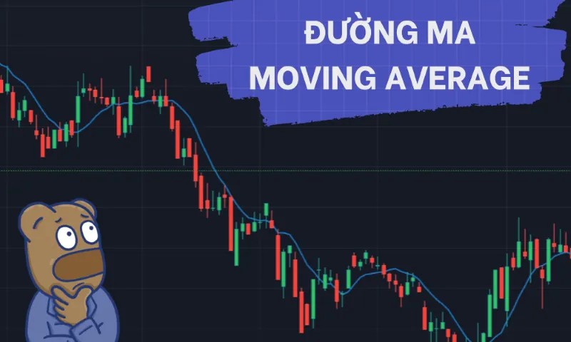 một số đường moving average phổ biến