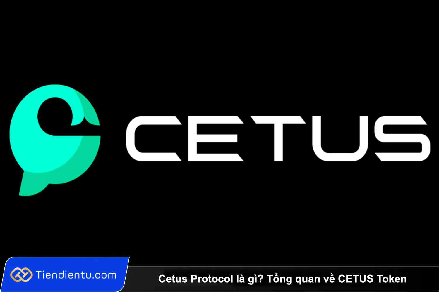 Cetus Protocol la gi 1 Tong quan ve CETUS Token