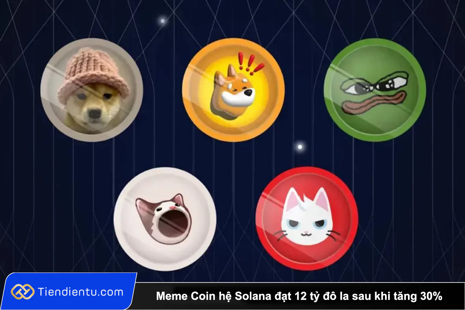 Tiendientu Memecoin he Solana dat 12 ty do la sau khi tang 30