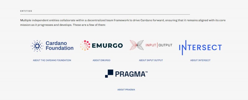 đội ngũ phát triển cardano