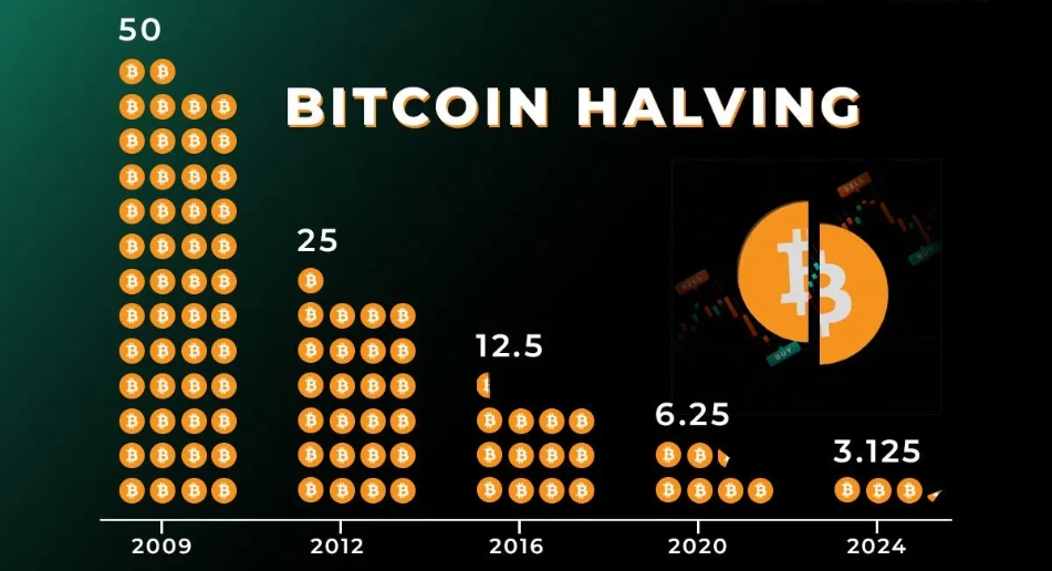 Bitcoin Halving: Supply Reduction, Price Surge