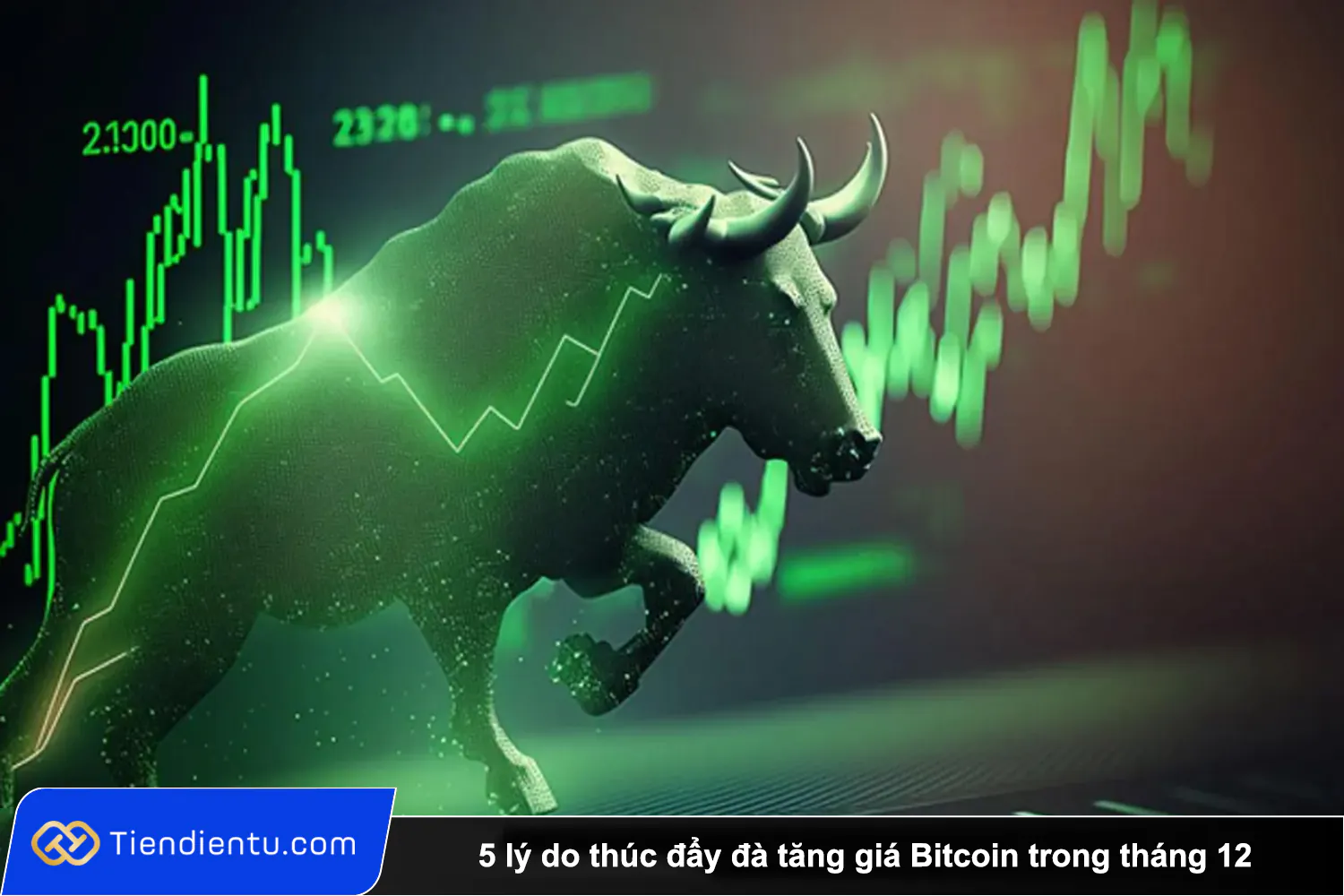 5 ly do thuc day da tang gia Bitcoin trong thang 12