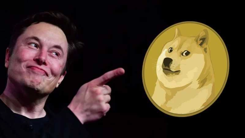 Meme Coin Resurgence Fueled by Elon Musk