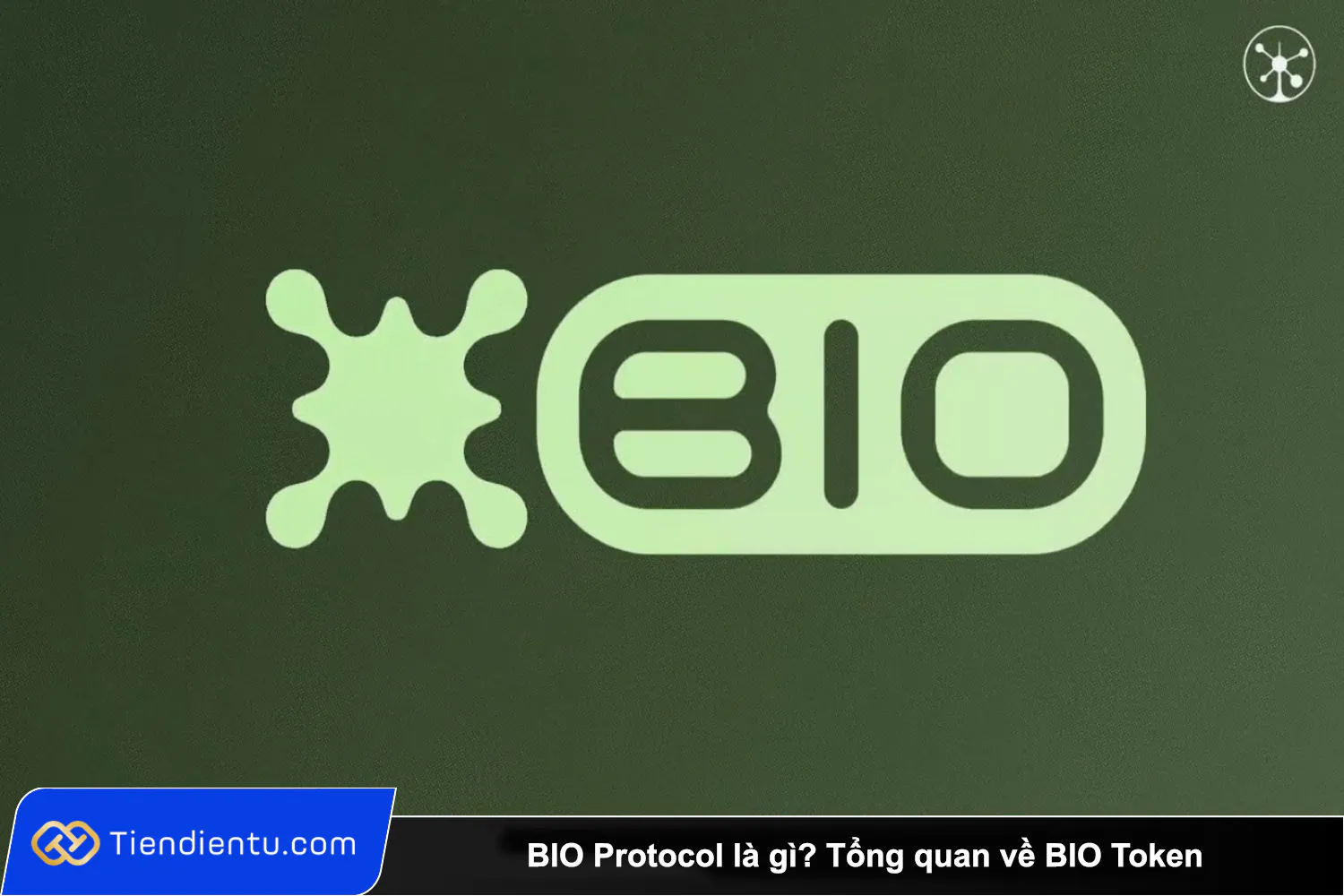 BIO Protocol la gi Tong quan ve BIO Token