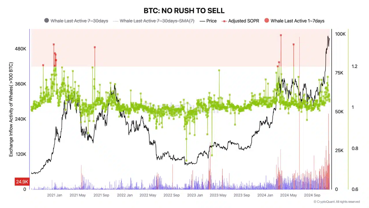 Bitcoin chứng kiến sự gia tăng về hoạt động của cá voi