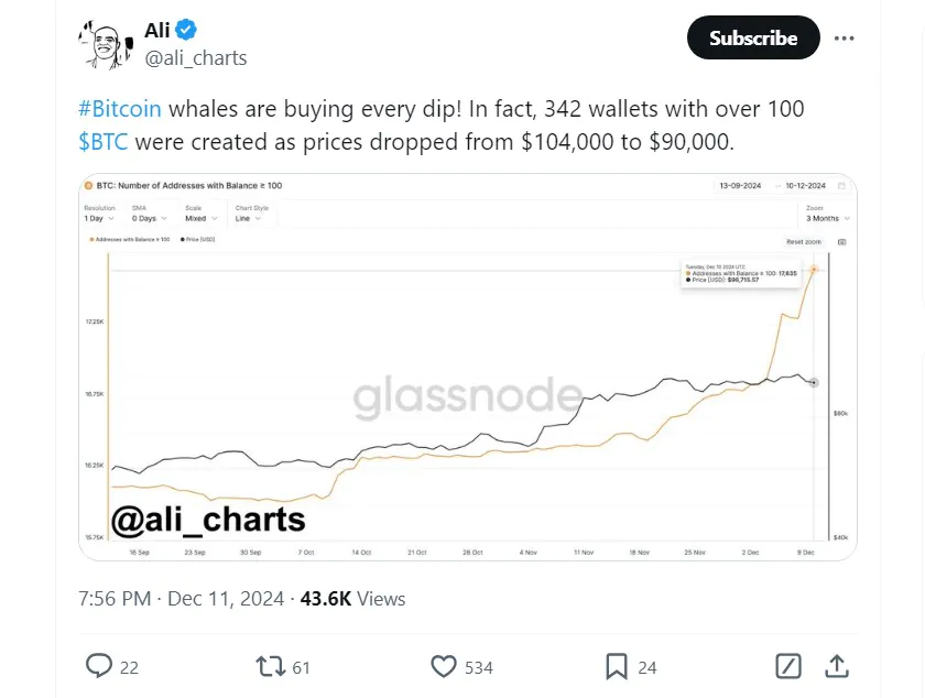 Cá voi đang bắt đáy Bitcoin