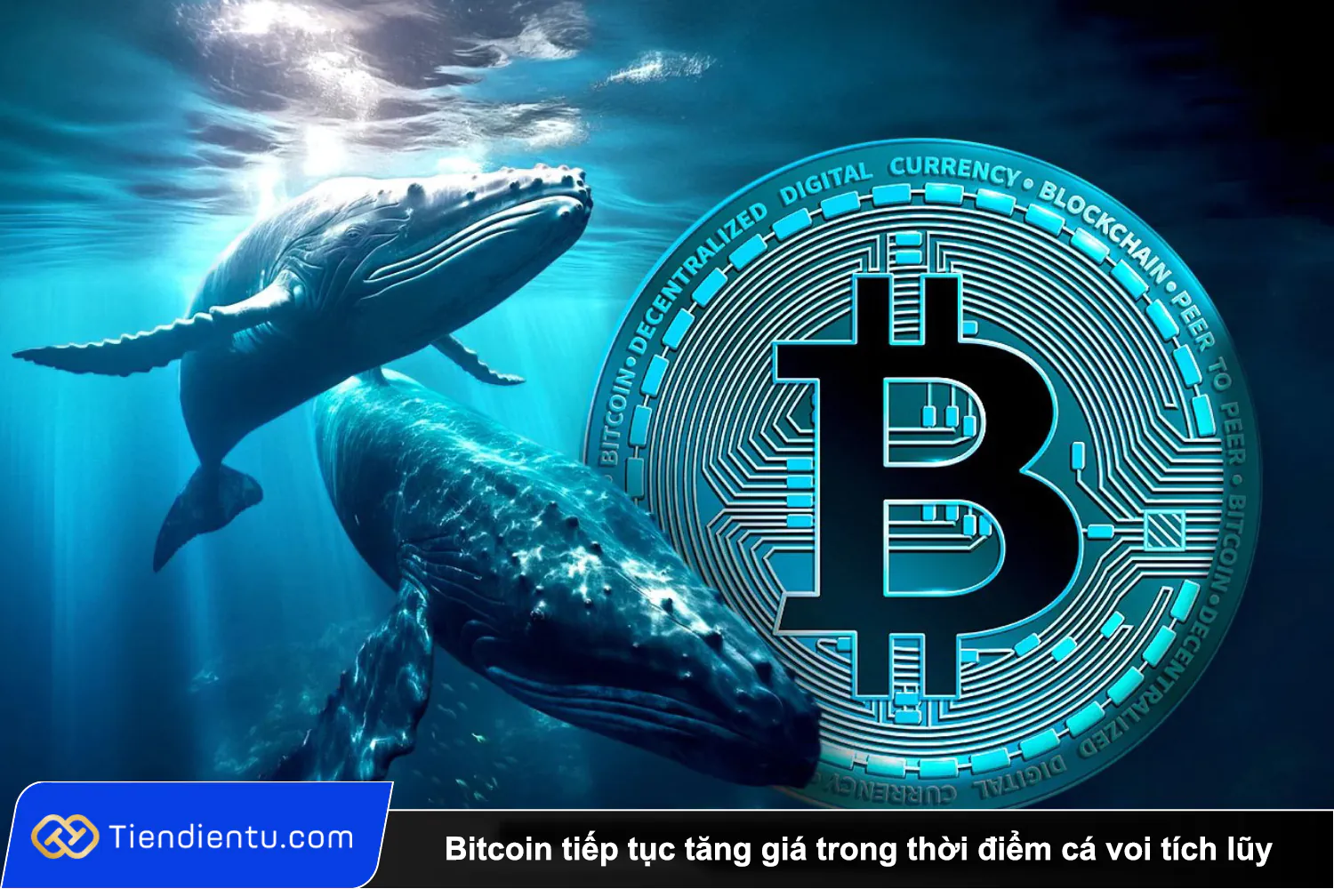 Bitcoin tiep tuc tang gia trong thoi diem ca voi tich luy