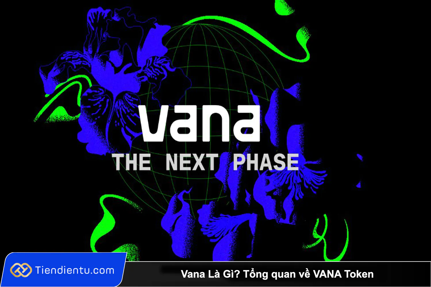 Vana La Gi Tong quan ve VANA Token