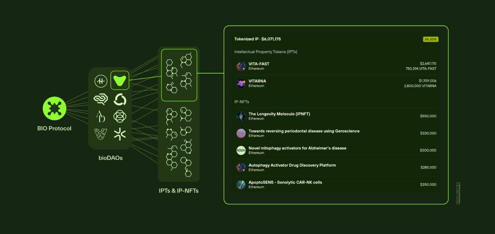 BIO Protocol