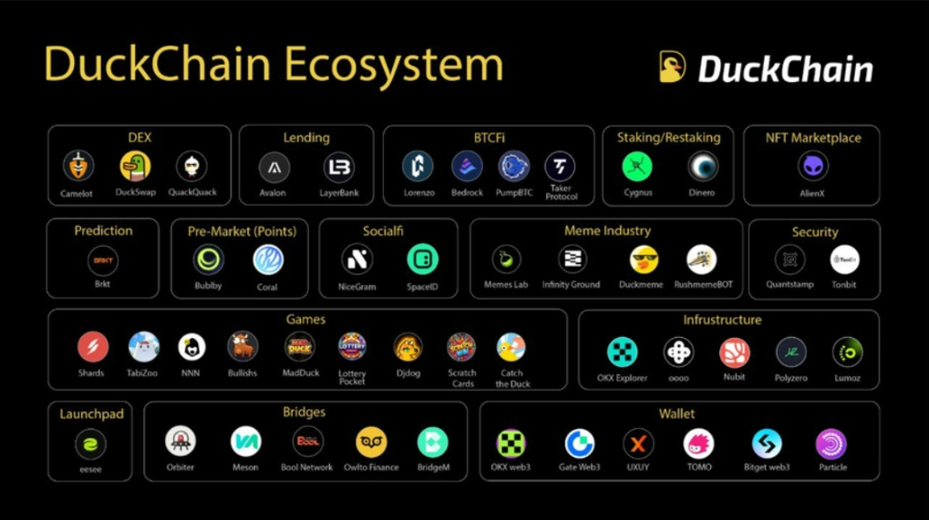 Hệ sinh thái của DuckChain