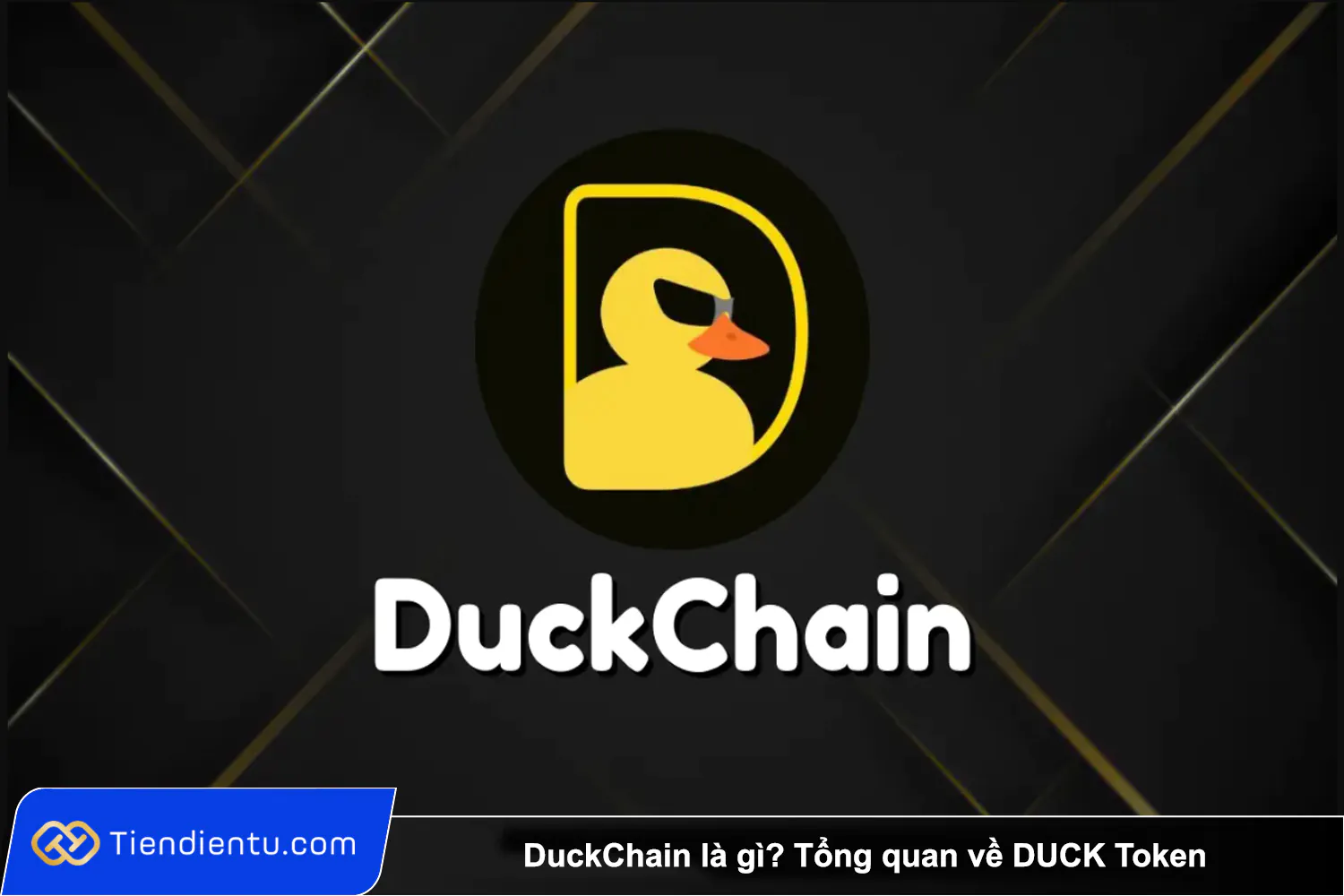 DuckChain la gi Tong quan ve DUCK Token 1