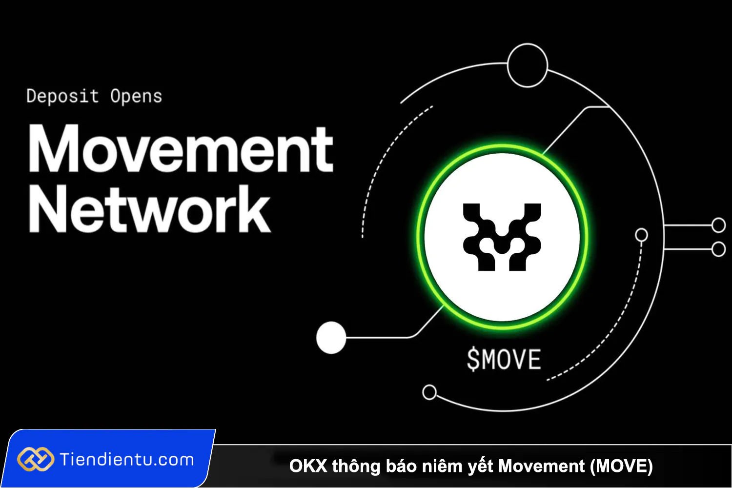Đánh giá tiềm năng của Movement Network