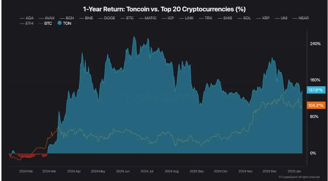 Toncoin vs Top 20 cryptocurrencies