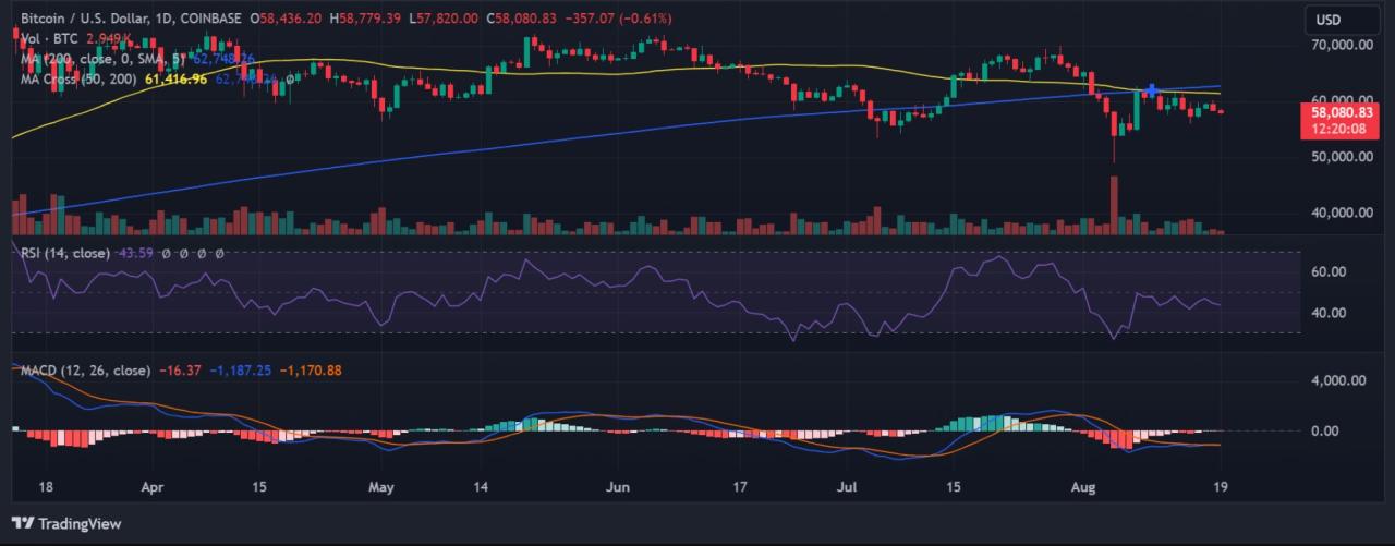 Biểu đồ Bitcoin 1D