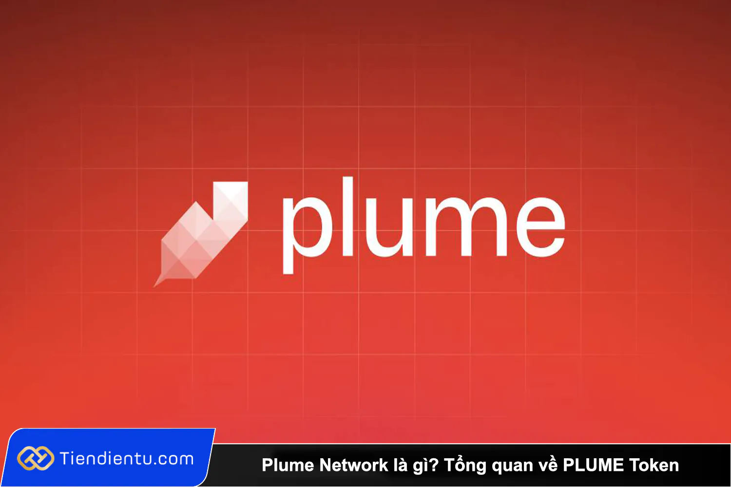 Plume Network la gi