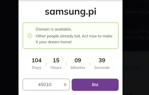 Đấu giá samsung.pi