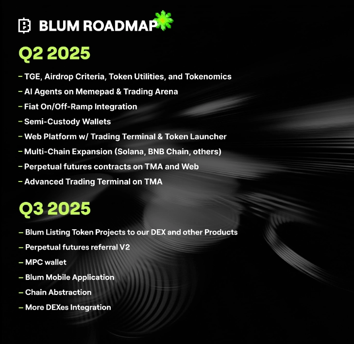 Roadmap từng được Blum công bố