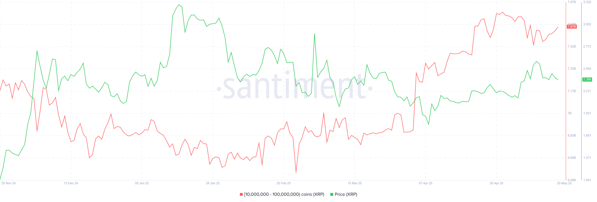 Địa chỉ ví cá voi XRP