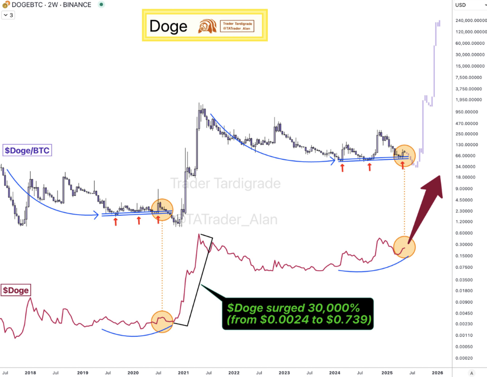 Phân tích DOGEBTC của Trader Tardigrade